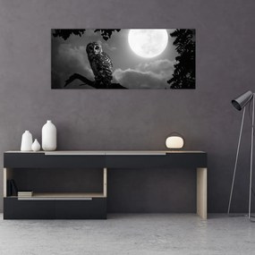 Obraz - Nočná sova, čiernobiela (120x50 cm)