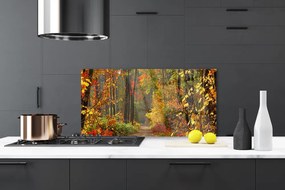 Sklenený obklad Do kuchyne Les príroda jeseň 125x50 cm
