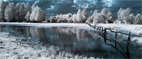 Obraz - Zamrznutá krajina (120x50 cm)