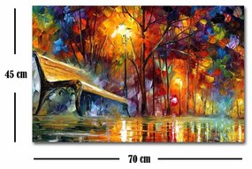 Reprodukcia obrazu Leonid Afremov 082 45 x 70 cm