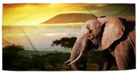 Sablio Uterák Slon z profilu - 50x100 cm