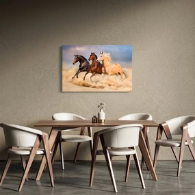 Obraz - Divé kone (90x60 cm)
