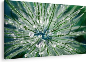 Obraz - Makro snímka kvetu (90x60 cm)