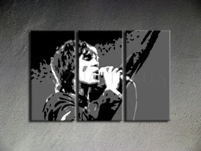 Ručne maľovaný POP Art obraz Ian Brown