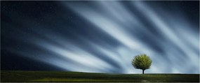 Obraz polárna žiara nad vresoviskom (120x50 cm)