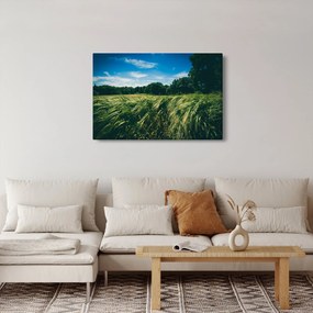 Obraz lúky a lesa (90x60 cm)