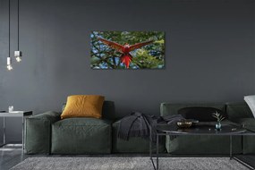 Obraz na plátne ara papagáj 140x70 cm