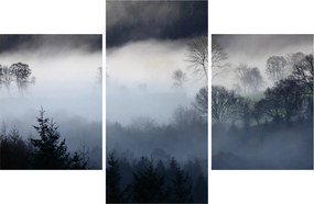 Obraz hmly nad lesom (90x60 cm)