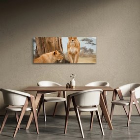 Obraz - dve levice (120x50 cm)