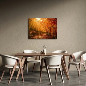 Obraz jesenného lesa (70x50 cm)