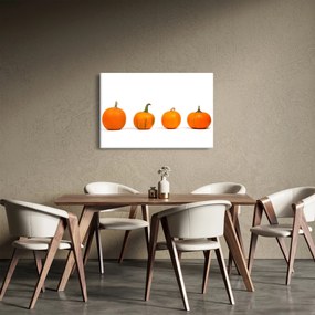 Obraz dyne (90x60 cm)