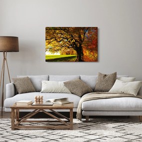Obraz jesene (90x60 cm)