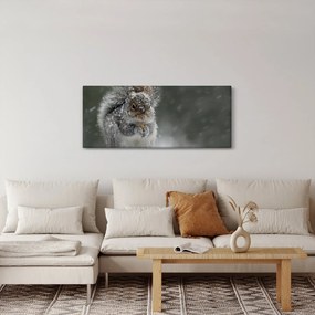Obraz - Veverička v zime (120x50 cm)
