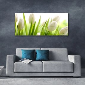 Obraz na akrylátovom skle Tulipány kvety 125x50 cm