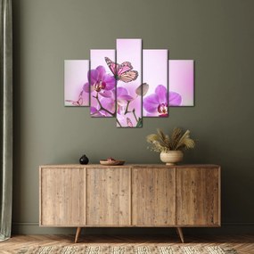 Obraz - Motýľ na kvetoch orchidey, lila (150x105 cm)