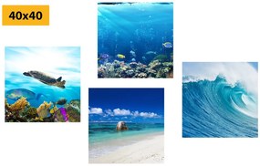 Set obrazov morský svet Varianta: 4x 40x40