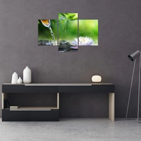 Obraz - Lotus (90x60 cm)
