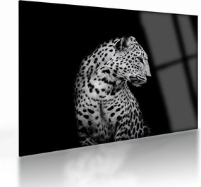 Sklenený obraz - Leopard (70x50 cm)