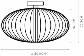 Lucide 20114/50/30 - LED Stmievateľné stropné svietidlo CARBONY LED/5W/230V