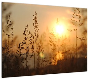 Sklenený obraz východu slnka (70x50 cm)