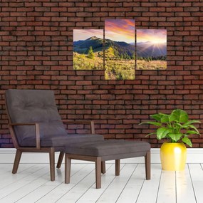 Obraz - Lesná krajina (90x60 cm)
