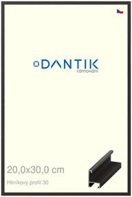DANTIK rám na obraz 20x30 | ALU Dýha černá (Sklo Čiré)