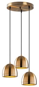 Mugo - 10670