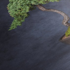 Obraz - Bonsai (120x50 cm)