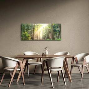 Obraz cestičky v lese (120x50 cm)