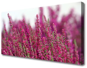 Obraz Canvas Kvety lúka príroda 140x70 cm