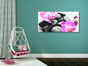 Obraz kúzelná súhra kameňov a orchidey - 120x60