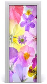 Fototapeta na dvere farebné kvety 85x205 cm
