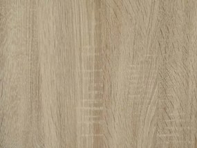 Predsieňová stena Patent, dub sonoma/biela