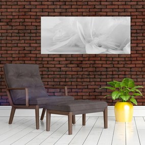 Obraz - Perie (120x50 cm)