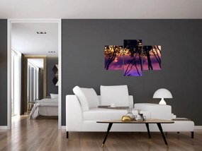Obraz - Stromy pri západe slnka (90x60 cm)