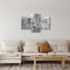 Obraz - Boho pampas grass (90x60 cm)