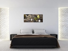 Obraz - Ležiaca mačka (120x50 cm)