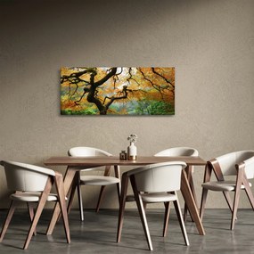 Obraz žltého japonského javora, Portland, Oregon (120x50 cm)