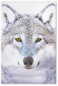 Gario Obraz na plátne Biely vlk na snehu Rozmery: 40 x 60 cm