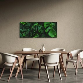 Obraz listov Monstery (120x50 cm)