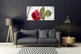 Skleneny obraz Ruže kvet rastlina 100x50 cm