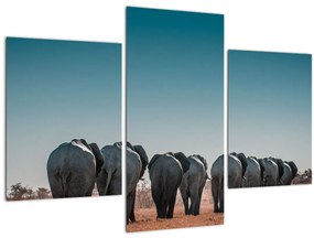 Obraz - Odchod slonov (90x60 cm)