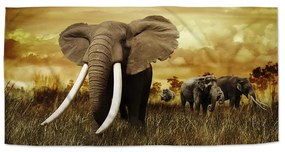 Sablio Uterák Slon Africký - 30x50 cm