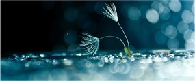 Obraz - Makro (120x50 cm)