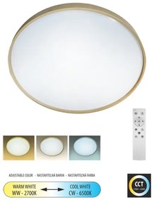 LED Stmievateľné stropné svietidlo DRINA LED/36W/230V 2700-6500K +dálkové ovládanie