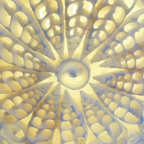 Boho lampa seashell GOLDEN SUN Tiffany styl Branches Ø15*37