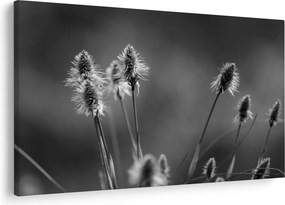 Obraz - Béžová soft grass N⁰2 (90x60 cm)
