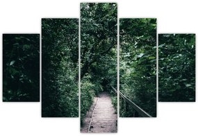 Obraz - Cesta lesom (150x105 cm)