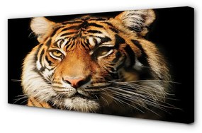 Obraz na plátne tiger 140x70 cm
