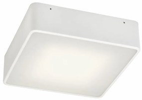 Argon 652 - Stropné svietidlo ONTARIO 2xE27/15W/230V